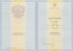 Диплом специалиста 2010 – 2011 г.